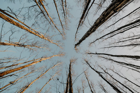 Photo by Jonathan Borba on Unsplash